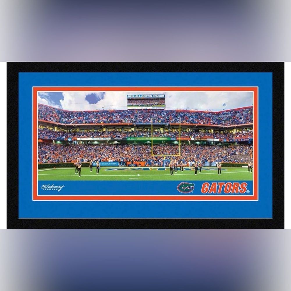 Blakeway Worldwide Panoramas Florida Gators Framed and Mated Stadium Picture